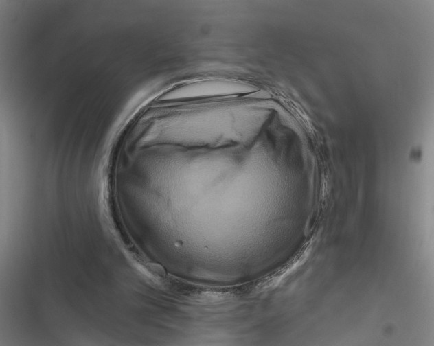 X0000116870101201001191731