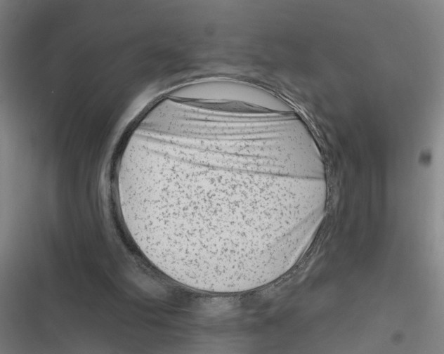 X0000116870102201001191731