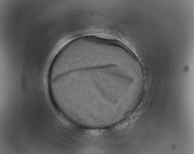X0000116870103201001191731