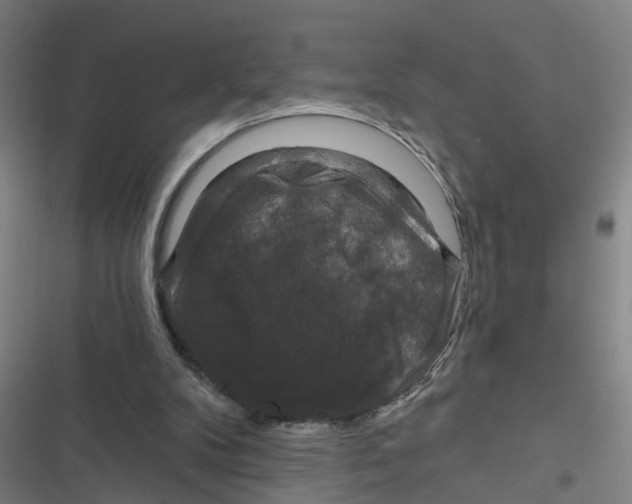 X0000116870104201001191731