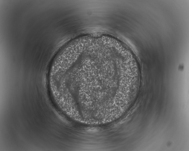 X0000116870105201001191731