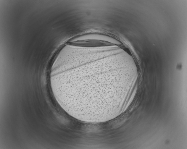 X0000116870106201001191731