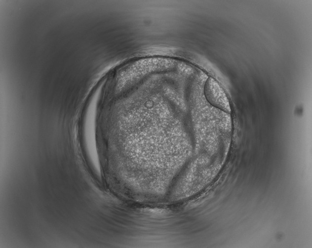 X0000116870107201001191731