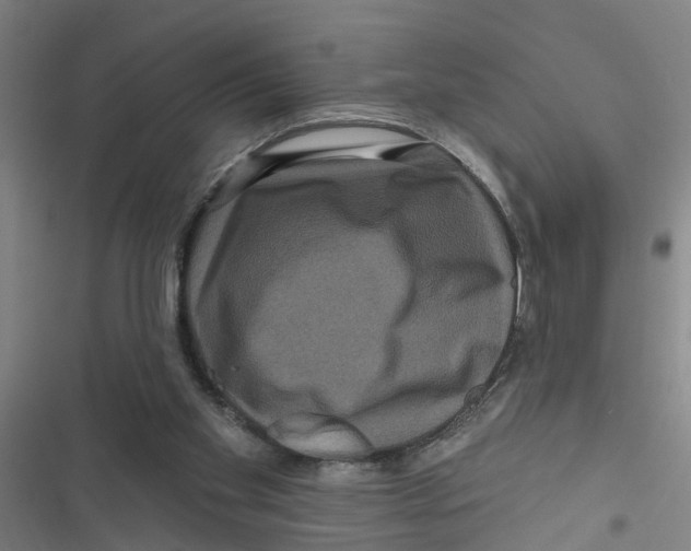 X0000116870109201001191731