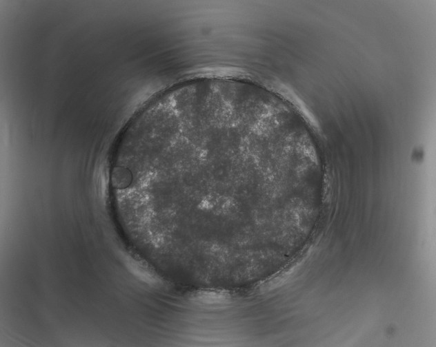 X0000116870110201001191731