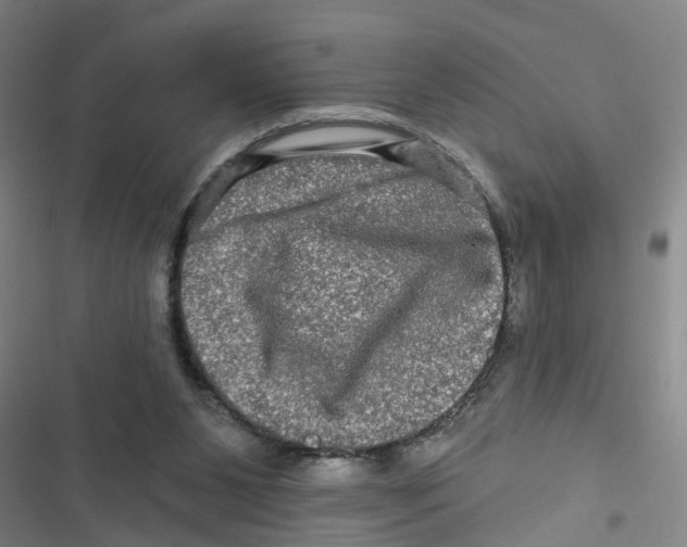 X0000116870111201001191731