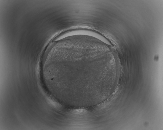 X0000116870112201001191731