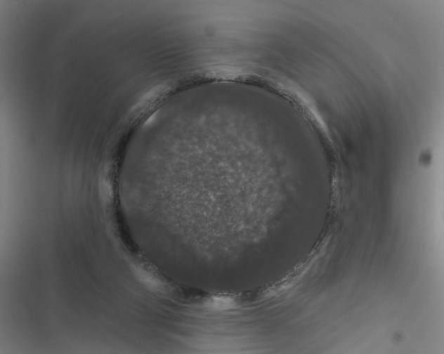 X0000116870114201001191731