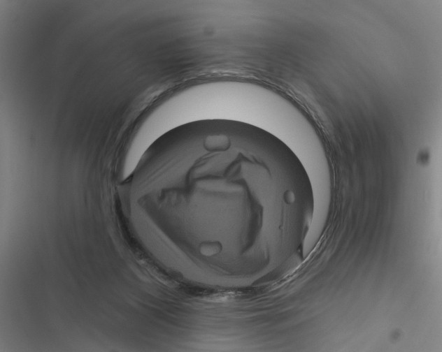 X0000116870116201001191731