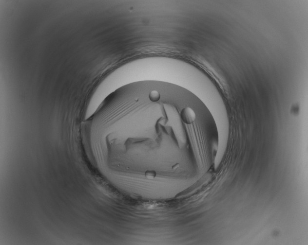 X0000116870117201001191731