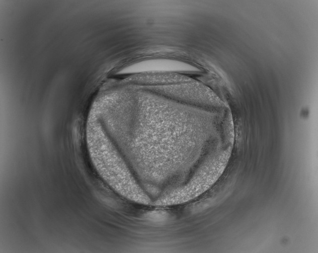 X0000116870119201001191731
