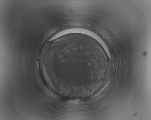 X0000116870120201001191731