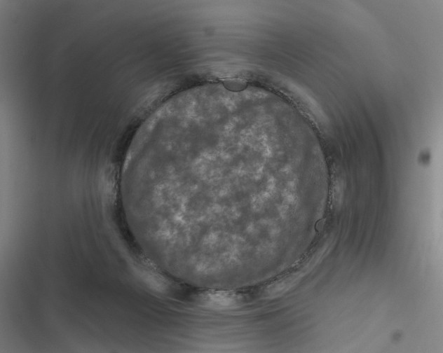 X0000116870121201001191731