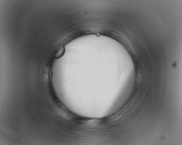 X0000116870122201001191731