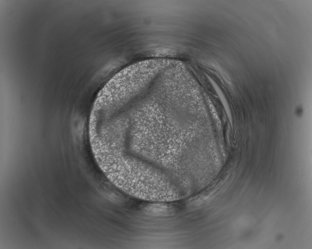 X0000116870123201001191731