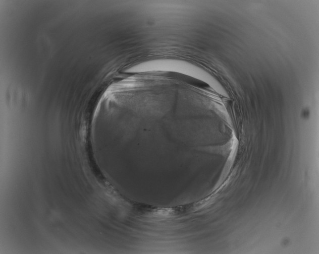 X0000116870124201001191731