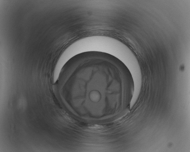 X0000116870125201001191731