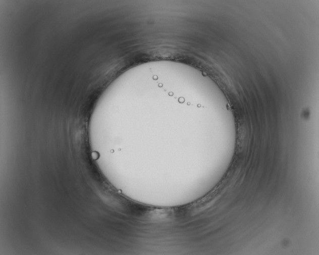 X0000116870126201001191731