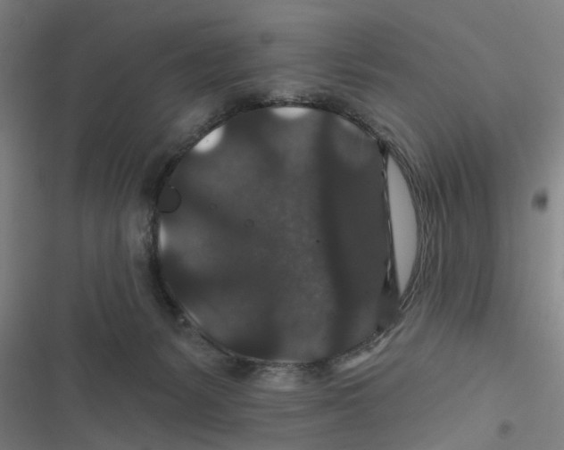 X0000116870127201001191731