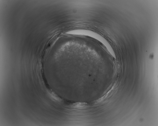 X0000116870128201001191731
