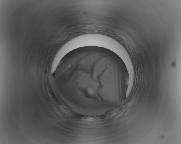 X0000116870129201001191731