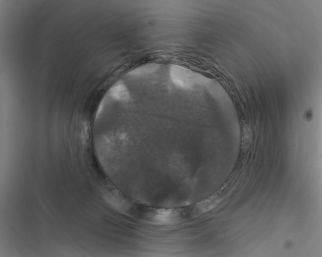 X0000116870130201001191731