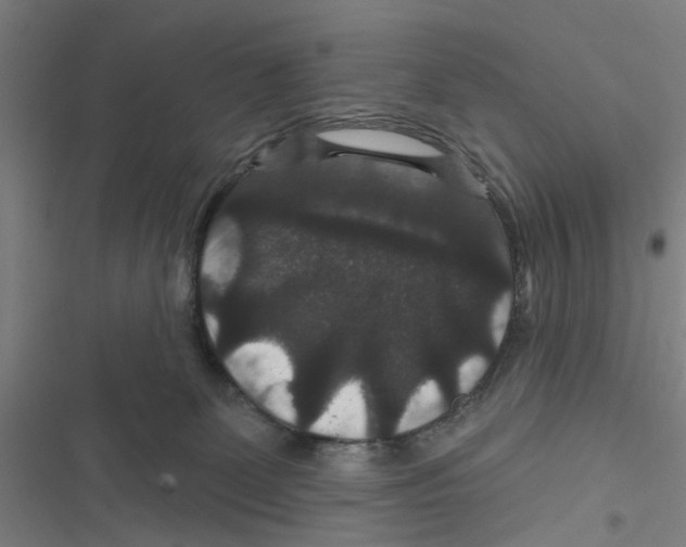 X0000116870131201001191731