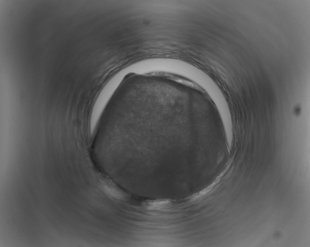 X0000116870132201001191731