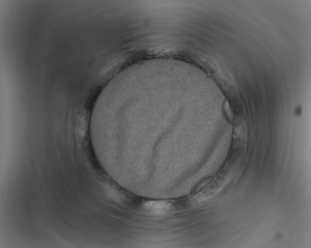 X0000116870133201001191731