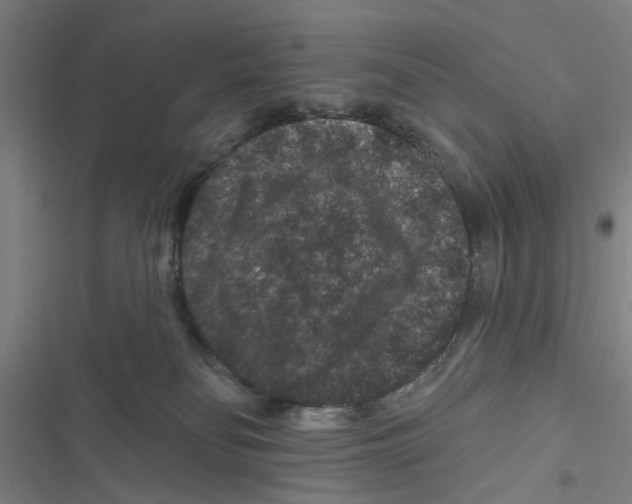 X0000116870134201001191731