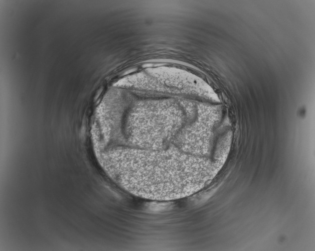 X0000116870135201001191731