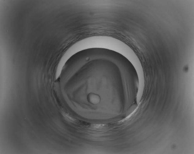 X0000116870136201001191731