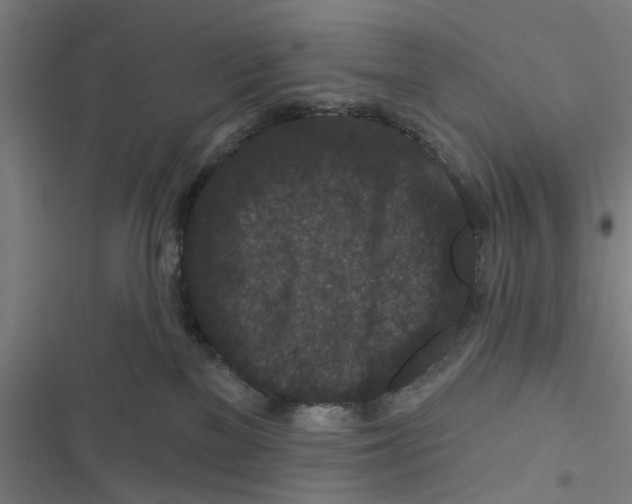 X0000116870137201001191731