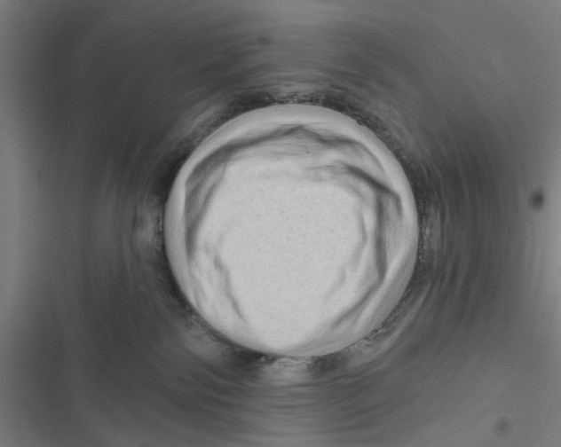 X0000116870138201001191731