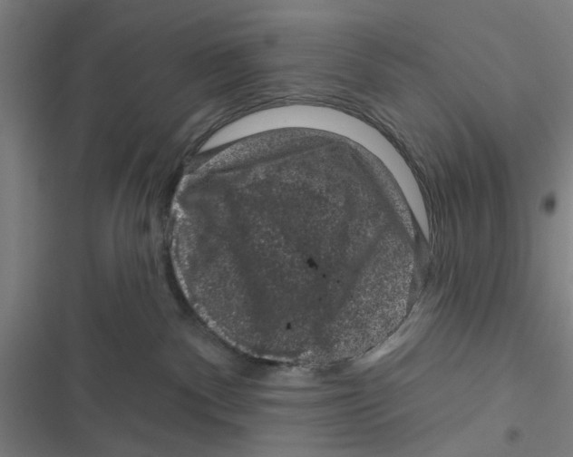 X0000116870140201001191731
