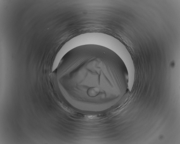 X0000116870141201001191731