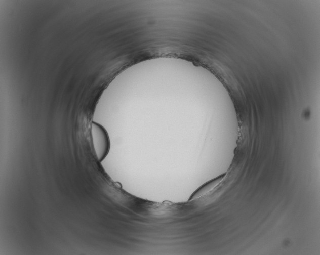 X0000116870142201001191731