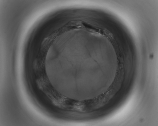 X0000116870143201001191731