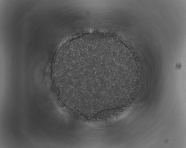 X0000116870144201001191731
