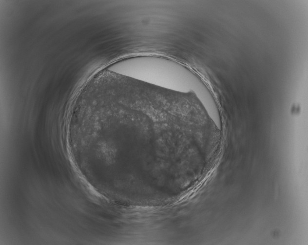 X0000116870145201001191730