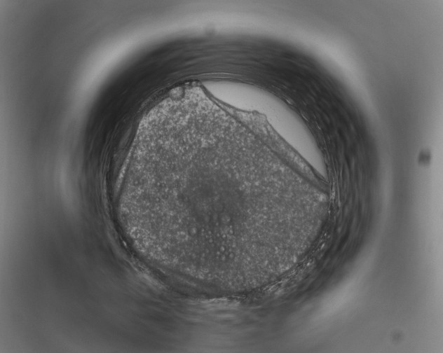 X0000116870146201001191730