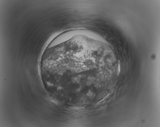 X0000116870147201001191730