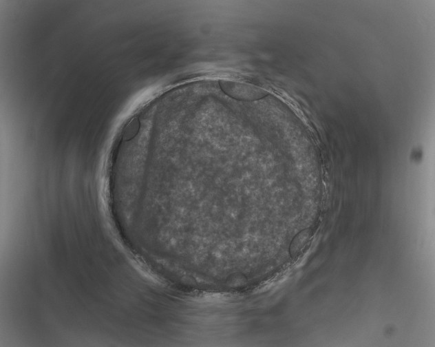 X0000116870149201001191730