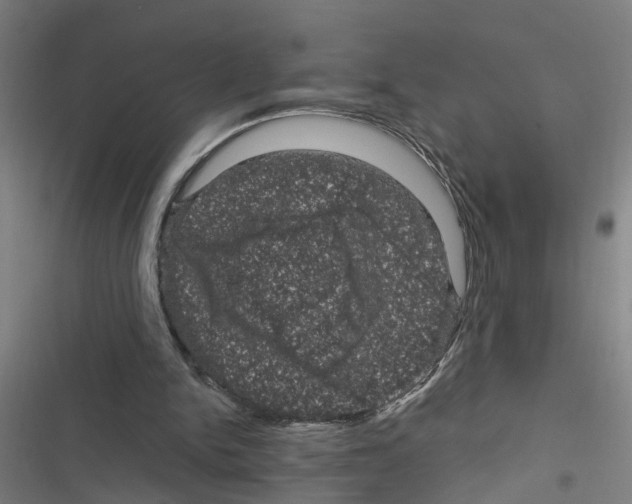 X0000116870150201001191730
