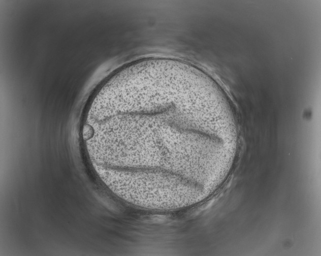 X0000116870151201001191730