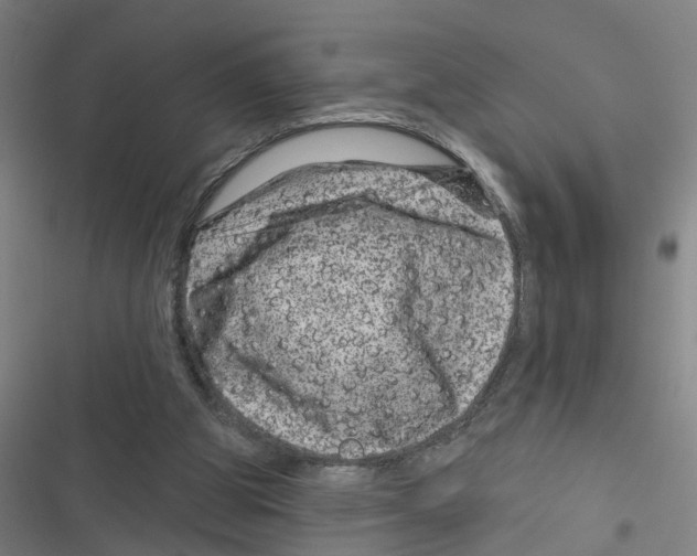 X0000116870153201001191730