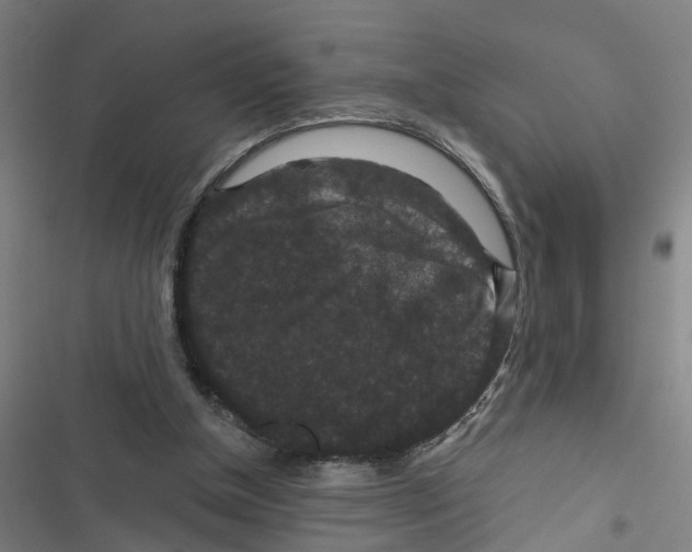 X0000116870154201001191730