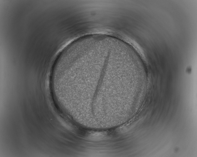 X0000116870155201001191730