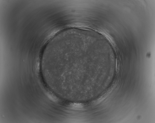 X0000116870157201001191730