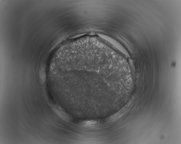 X0000116870158201001191730